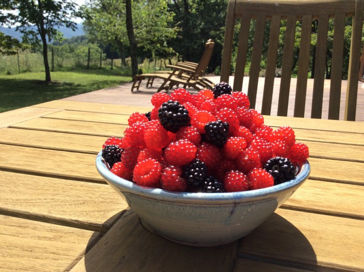 bowl of berries